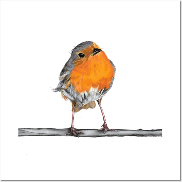 Ruairidh Robin perched on a branch Wall Art by IslesArt